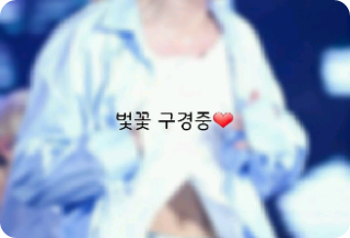 Nắm tay một đứa trẻ đang chơi trên bãi cát và ngắm hoa anh đào. thumbnail