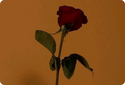 从那天起，我就如同行尸走肉一般（正在疗愈）。 thumbnail