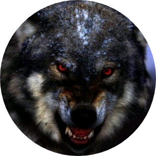 김태형(늑대 image