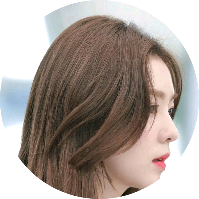 레드벨벳 안티들 image