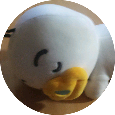 김보브 작가 image