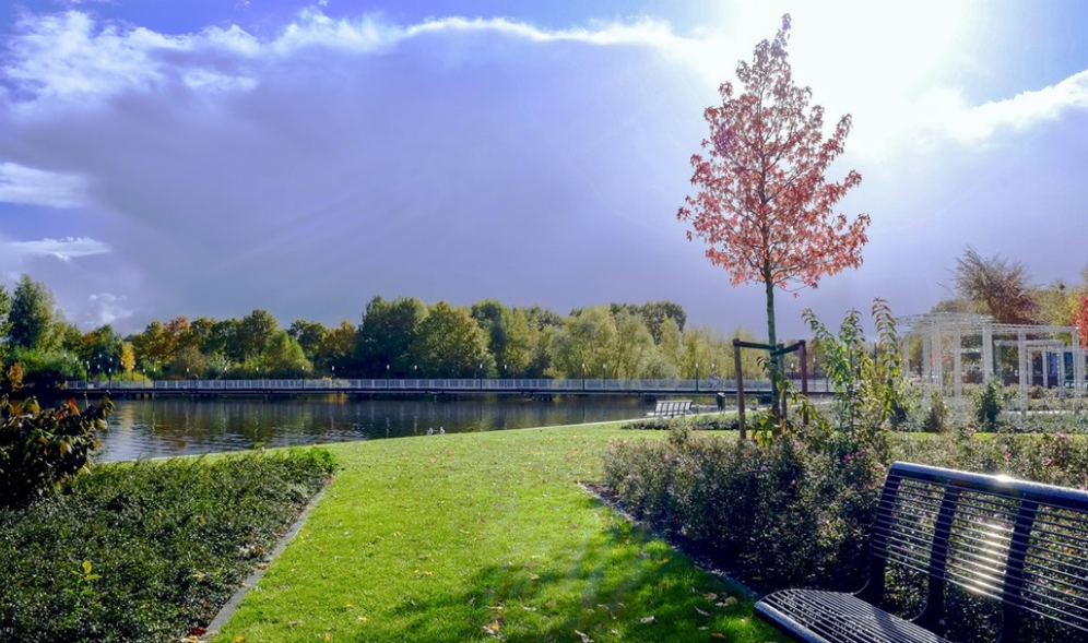 Photo editing thumbnail