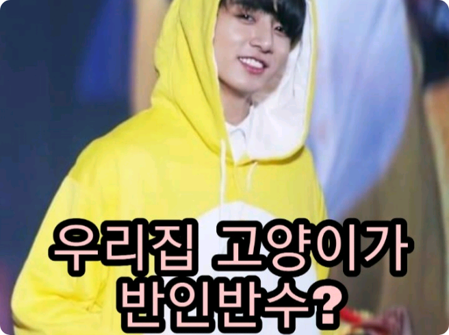 우리고양이가 반인반수? thumbnail