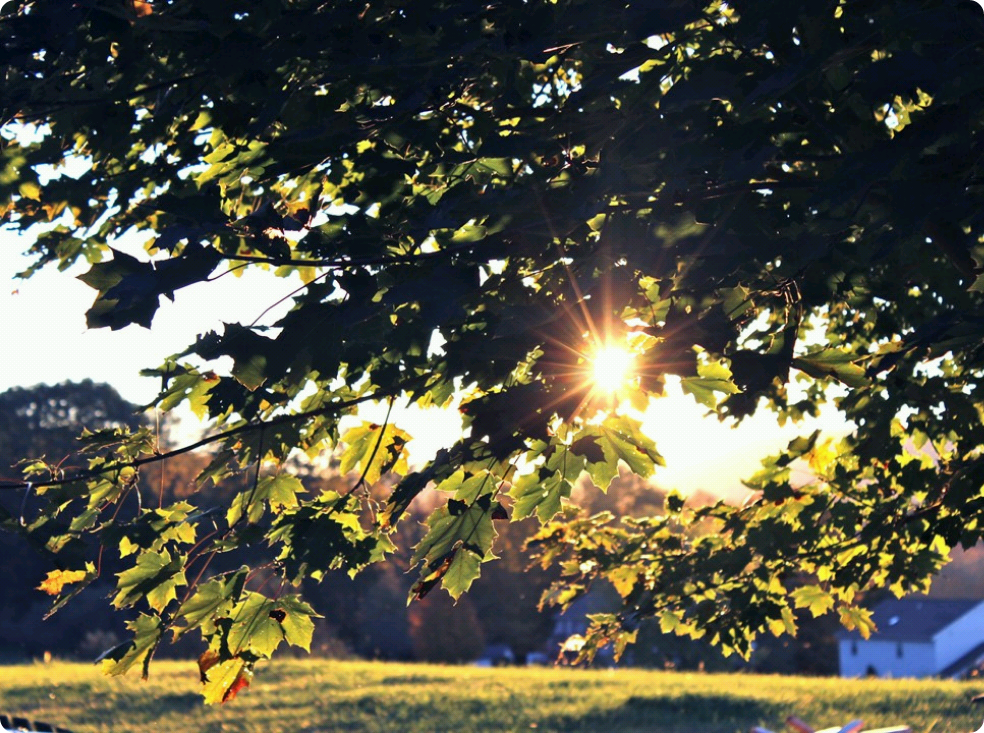 Bốn thế giới thumbnail