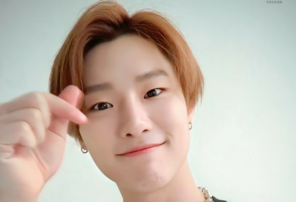 Cho Seung-yeon's Fangirl Diary thumbnail