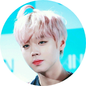 윤지박지 작가 image