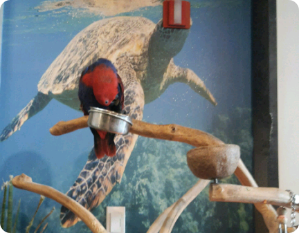 这位领导者好相处吗？ thumbnail