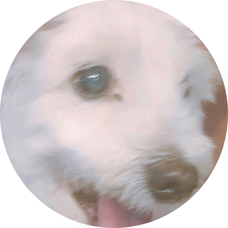 아미(짱구(?) image