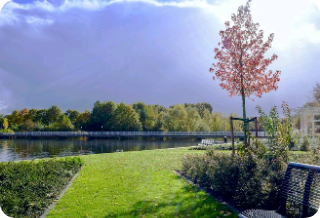 내 가장 친한 친구 thumbnail