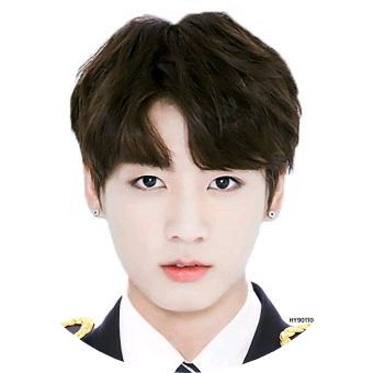 정국솔져 image