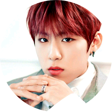 박우진 ● image