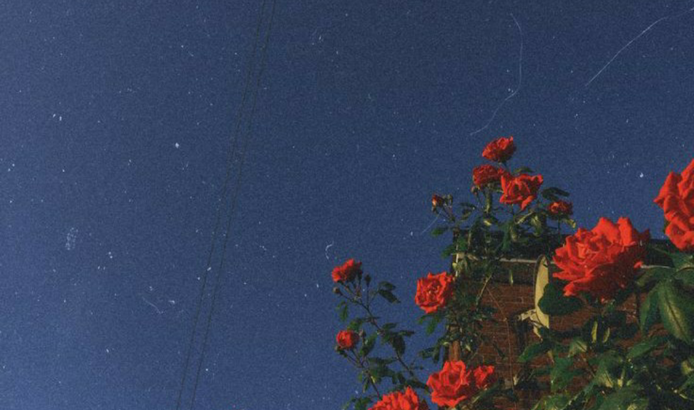 ༺ৡۣ͜͡ৡ༒ৡۣ͜͡ৡ༻ thumbnail