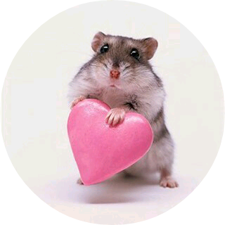 햄스터 image