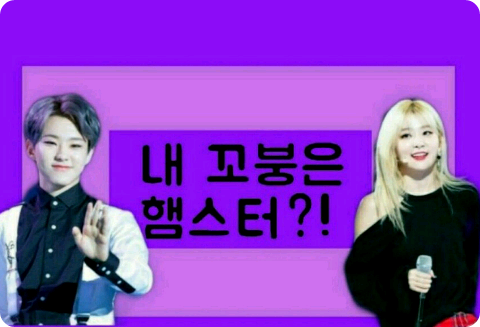 My little one is a hamster?! thumbnail