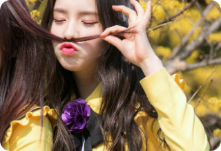 열두명의 소녀 , 다시만나다 thumbnail