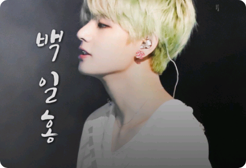 hoa cúc zinnia thumbnail