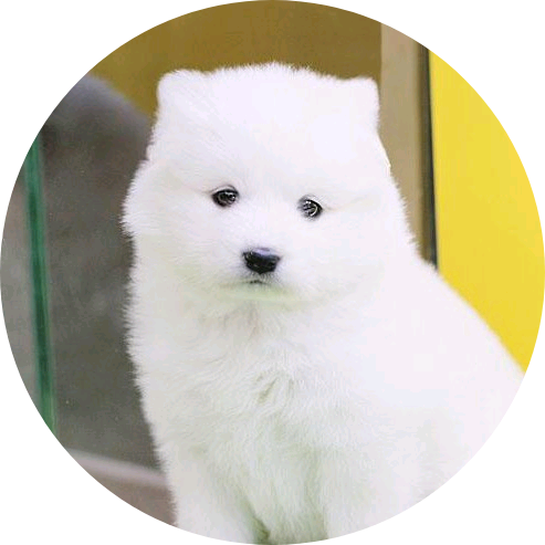 녤뭉 image