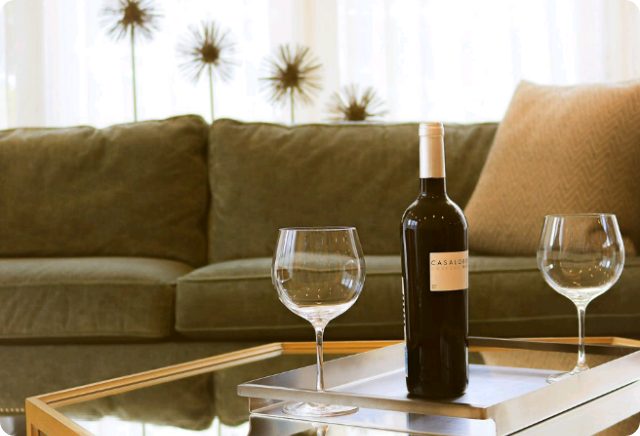 개를 위한 마카롱 thumbnail