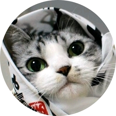 미야(고양이) image