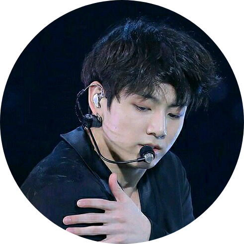 태자경호원((전정국 image