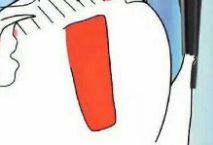 快樂的雞蛋（西班牙語） thumbnail