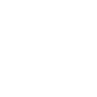 ??? image