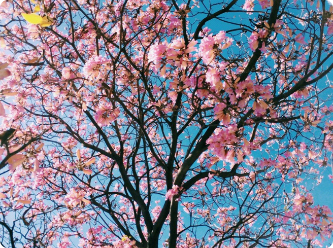 "나혼자만 열애중" thumbnail