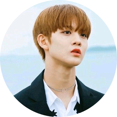 리라프린스배진영 image