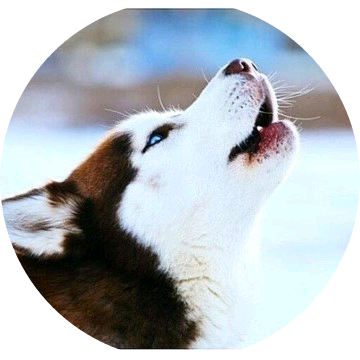 강승윤(허스키) image