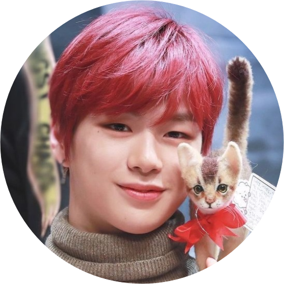 강다니엘 image