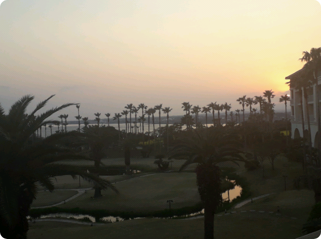 New product promotion thumbnail