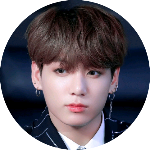 전정국/정국 image