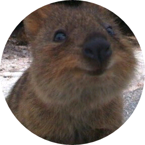 덕질하는삽살개작가 image