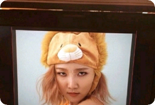 真正的朋友 thumbnail