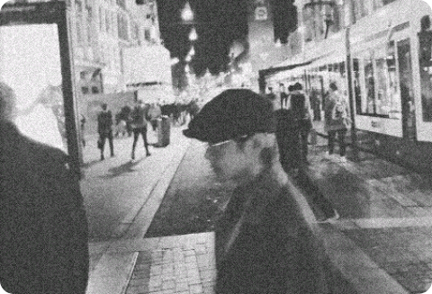 WINTER BEAR thumbnail