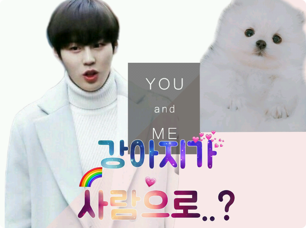 狗像人一样吗？ thumbnail