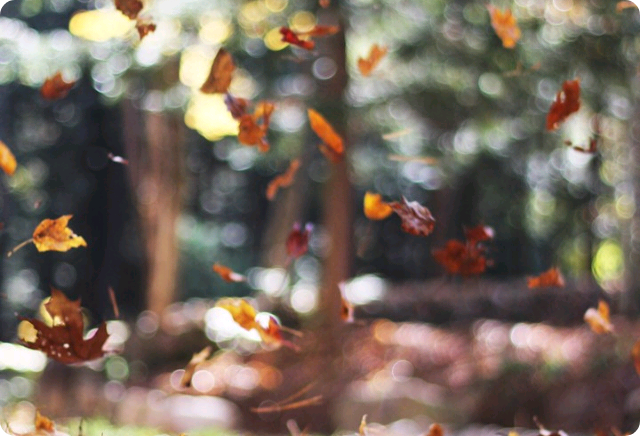 .▫▫ thumbnail