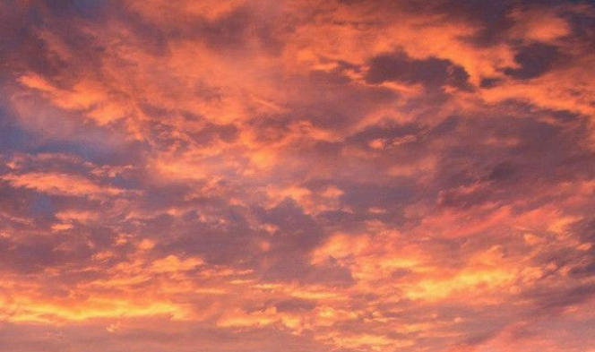 체대생은 '그'시대로 thumbnail