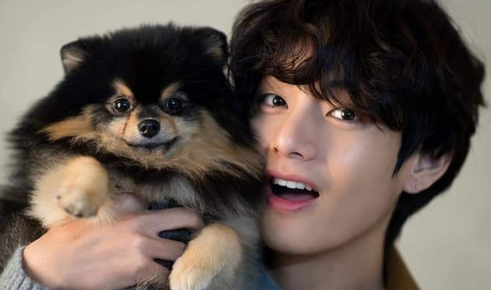 어? 너 정체가뭐야! thumbnail