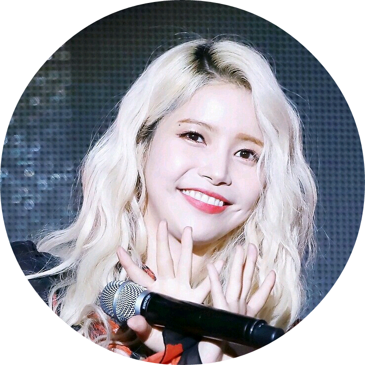 솔라 선생님 image