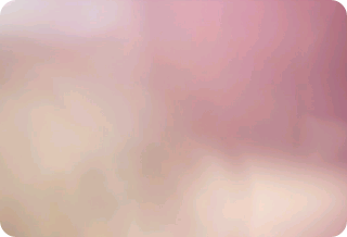 我不会做。我做不到。 thumbnail