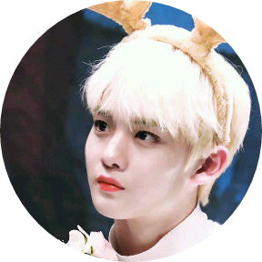 배진영 image