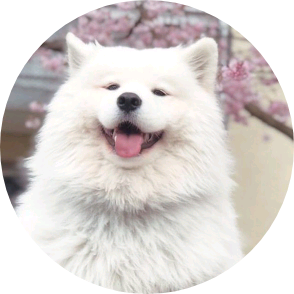 ๊น์ง๊ตฌโค๏ธ image