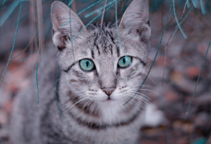 한번씩만 봐주세요😊 thumbnail