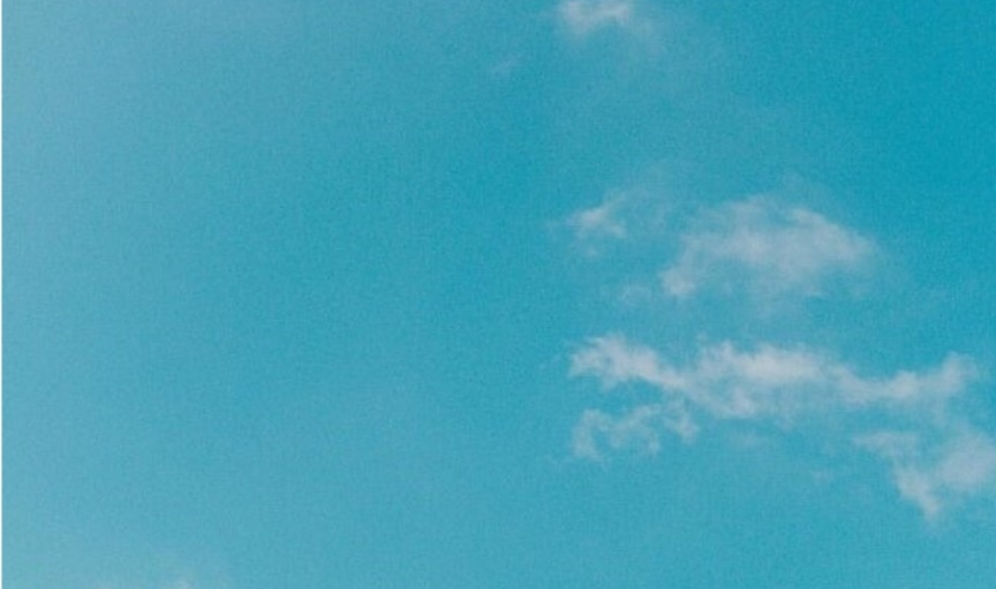 ㅡㅡㅡㅡ thumbnail