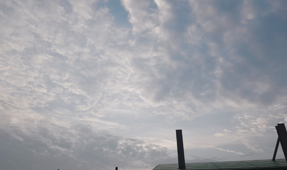 ㅡㅡㅡㅡㅡㅡ thumbnail