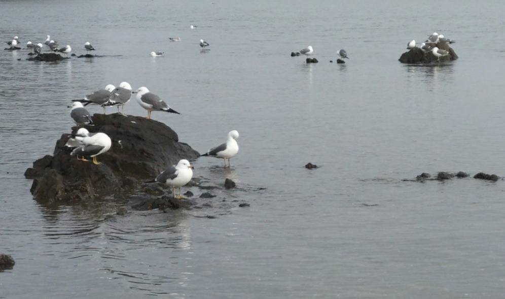 ㅡㅡㅡㅡㅡ9 thumbnail