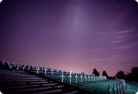 좀비바이러스에서 살아남기 thumbnail