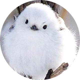 휘인(뱁새) image