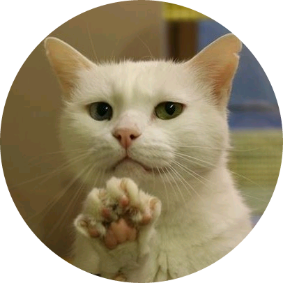 박도훈(고양이) image